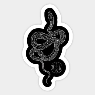 Snake, Hebi Sticker